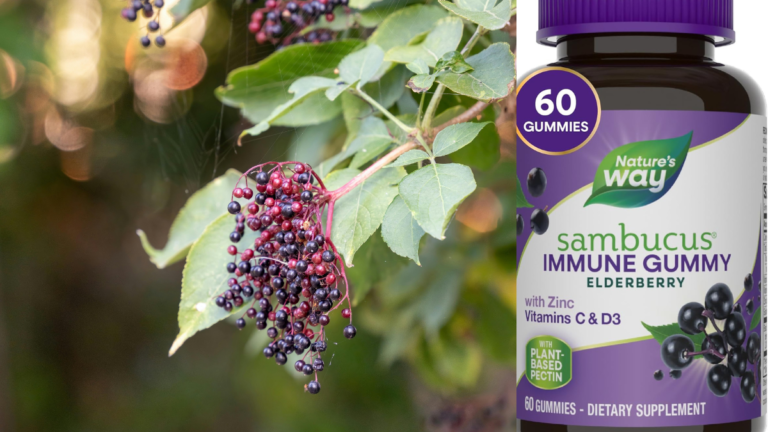 Immune Health Supplements: Sambucus Immune Gummy – Elderberry, Zinc, and Vitamin C & D3