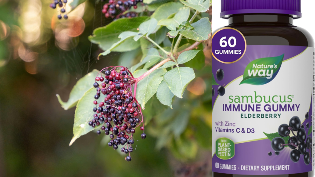 Immune Health Supplements: Sambucus Immune Gummy – Elderberry, Zinc, and Vitamin C & D3